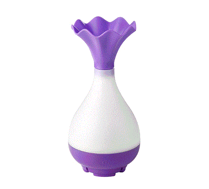 Jade Net Bottle Aromatherapy Humidifier